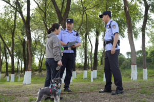 冰城公安织密宣传网 文明养犬浸润烟火城
