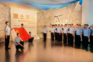 冰城公安：党建引领  绘就基层治理平安画卷