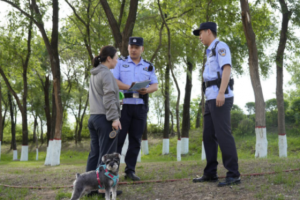 冰城公安：把文明养犬知识送到身边  把安全隐患化解在源头