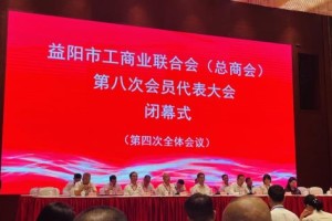 以匠心守初心，以实业报家乡：衣柜哥卢建钢出席益阳市工商联第八次代表大会