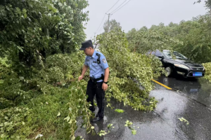 道外公安：逆雨而行 温情守护