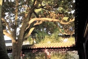 武汉出差到苏州，不客气地说，苏州是真牛