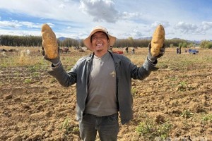 西藏南木林：把“土疙瘩”变成“金疙瘩”